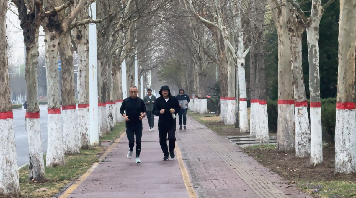 1775186500414680.png 微信图片_20260331104802_1390_33.png